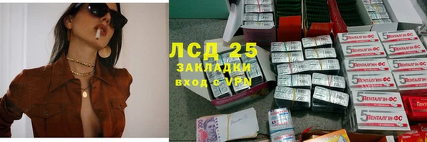 крисы Белокуриха